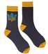 Men's socks Glory to Ukraine, made from Indian cotton, dark gray