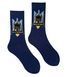 Men's socks Ghost of Kyiv, made from Indian cotton, dark blue