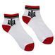 Men's ankle socks Trident made from Indian cotton, 41-43