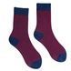 Men's socks made from Indian cotton, raspberry with blue