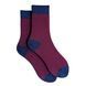Men's socks made from Indian cotton, raspberry with blue